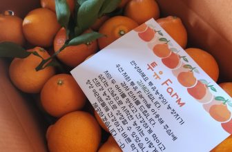 황금향 추천 5kg 뜻 제철 효능 먹는법 보관법