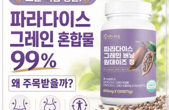 복부비만관리