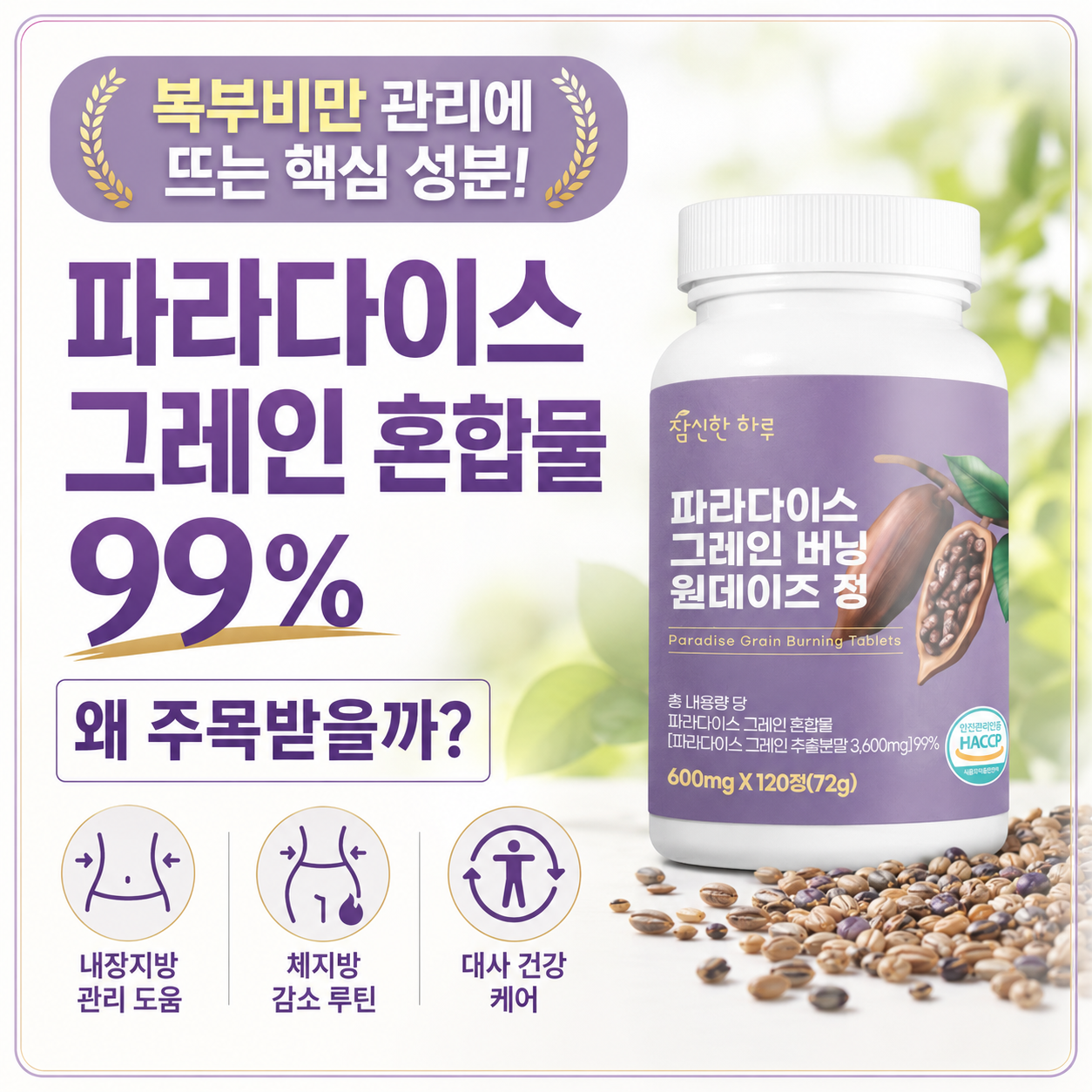 복부비만관리
