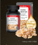 보스웰리아 효능 부작용 고르는법 추천