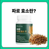 파로효소란? 파로곡물효소가 주목받는 이유