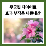 무궁핏 다이어트 효과·부작용·먹는법 + 내돈내산 후기