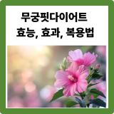 무궁핏 다이어트 효능, 효과, 복용법: 연구로 증명된 건강기능식품