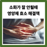 소화가 잘 안될 때 — 원인 · 영양제 · 효소 선택법 총정리