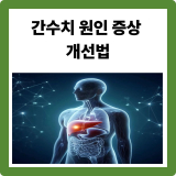 간수치(ALT·AST·GTP) 상승 원인·증상·개선법 총정리