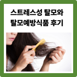 스트레스성 탈모 원인·증상·회복·탈모예방식품 후기 총정리