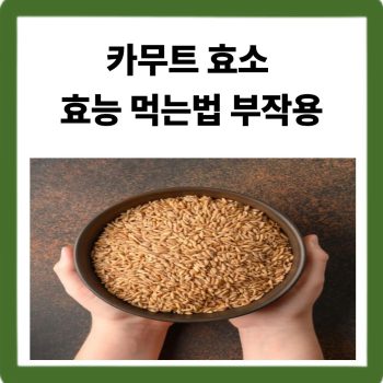 카무트 효소 효능 먹는법 부작용