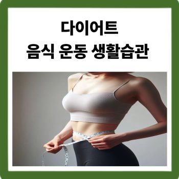 다이어트 음식 운동 생활습관