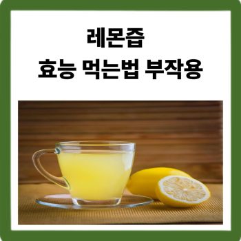 레몬즙 효능 먹는법 부작용