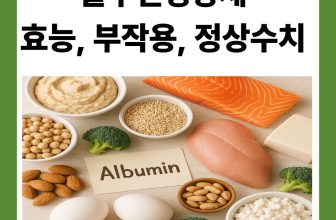 알부민 영양제 효능·부작용·정상 수치 총정리