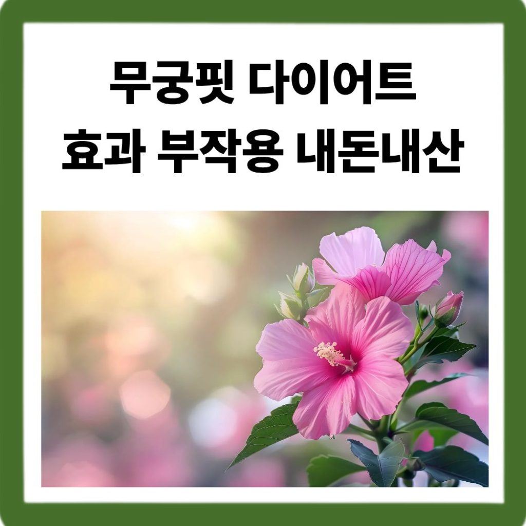 무궁핏 다이어트 효과 부작용 내돈내산-참신한하루 무궁화 추출물 핏 온 정