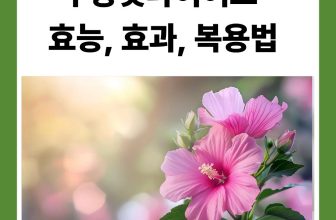 무궁핏 효능 효과 복용법