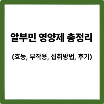 알부민 영양제 총정리