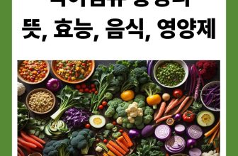 식이섬유 뜻 효능 음식 영양제