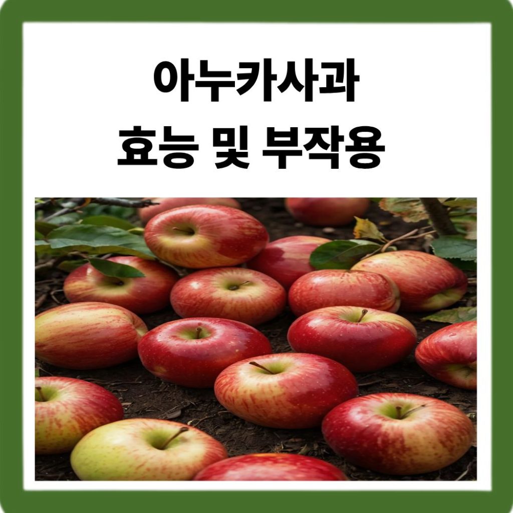 아누카사과 효능 및 부작용-참신한하루 아누카사과 비오틴 정