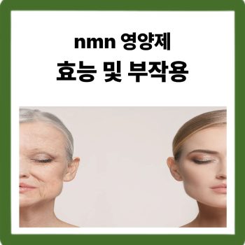 nmn 영양제 효능 및 부작용-참신한하루 베타인 nmn 정