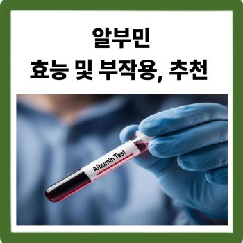 알부민 효능 및 부작용, 추천